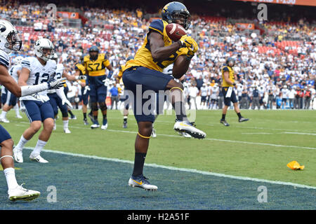 24 septembre 2016 - Landover, Maryland, États-Unis - West Virginia Mountaineers receveur GARY JENNINGS # 12 passe de touché les prises d'un qui a été rappelé en raison d'une pénalité lors d'un match joué à FedEx Field à Landover, MD. WVU tenue le à battre BYU 35-32 pour passer à 3-0. (Crédit Image : © Ken Inness via Zuma sur le fil) Banque D'Images