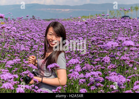 Oriental Beauiful girl smiling in tourisme domaine de fleurs de couleur lavande à Dali, Chine Banque D'Images