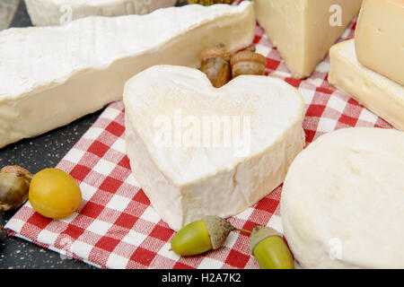 Le fromage Neufchatel sur une serviette blanche et rouge Banque D'Images