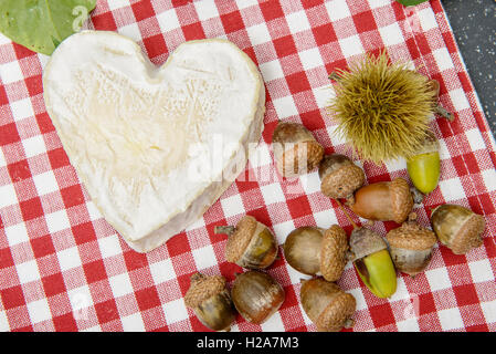 Le fromage Neufchatel sur une serviette blanche et rouge Banque D'Images