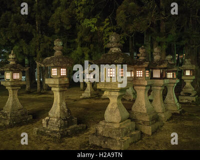 Rangées de lanternes en pierre, la nuit et allumé, Danjo Garan, Koyasan, Japon Banque D'Images