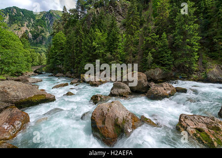 Horrible de Pré Saint Didier, rivière de montagne dans la forêt, la vallée de La Thuile, vallée d'Aoste, l'Alpi Graie, Italie, Europe Banque D'Images
