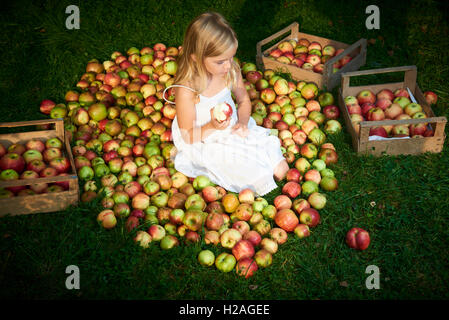 Petite fille mignonne recueille les pommes sur une herbe dispersés dans un bois Banque D'Images