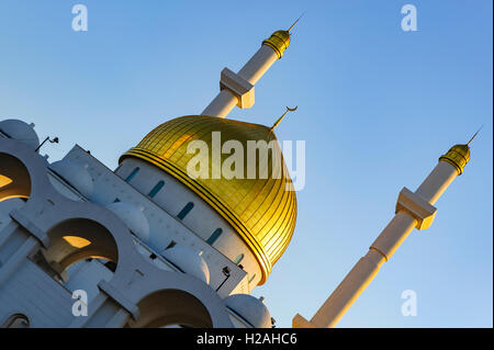 Le toit de la mosquée Nur-Astana avec la piscine à l'avant, Astana, Kazakhstan Banque D'Images
