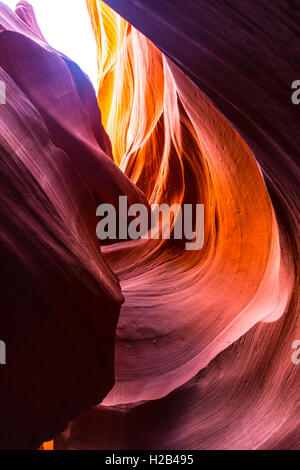 Formation de grès colorés, la lumière incidente, Lower Antelope Canyon, Slot Canyon, Page, Arizona, USA Banque D'Images