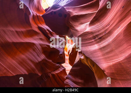 Formation de grès colorés, la lumière incidente, Lower Antelope Canyon, Slot Canyon, Page, Arizona, USA Banque D'Images