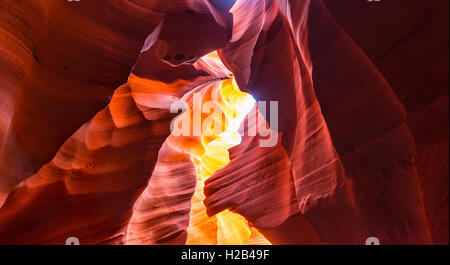 Formation de grès colorés, la lumière incidente, Lower Antelope Canyon, Slot Canyon, Page, Arizona, USA Banque D'Images