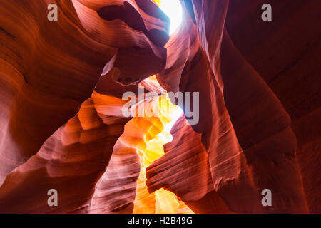 Formation de grès colorés, la lumière incidente, Lower Antelope Canyon, Slot Canyon, Page, Arizona, USA Banque D'Images