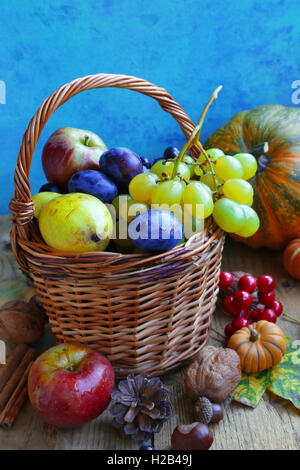 Fruits d'automne assortiment de raisins, prunes, poires et pommes Banque D'Images