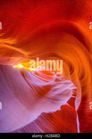 Formation de grès colorés, la lumière incidente, Lower Antelope Canyon, Slot Canyon, Page, Arizona, USA Banque D'Images