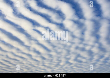 Stripy formation nuageuse, maquereaux ciel (Stratocumulus undulatus), Basse-Saxe, Allemagne Banque D'Images