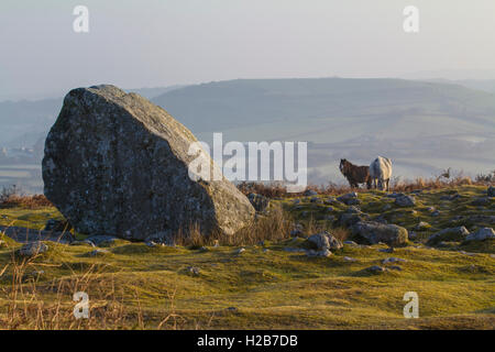 Arthur's Stone Maen (CETI), une chambre funéraire néolithique, la péninsule de Gower, Swansea, Glamorgan, Pays de Galles, Royaume-Uni Banque D'Images