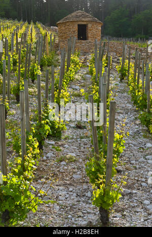 Vendangeurs en pierre Les Larrets refuge cabane de vigne, Morey-St-Denis, Côte d'Or, France. [Côte de Nuits] Banque D'Images