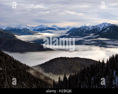 Le brouillard s'installe dans les vallées entre les montagnes olympiques vu d'Hurricane Ridge à l'Olympic National Park à Port Angeles, Washington. Banque D'Images