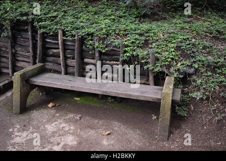 Banc en pierre et en bois dans une forêt dans une forêt à Antigua, Guatemala Banque D'Images