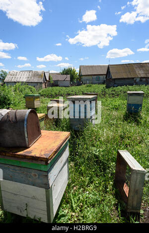 Les ruches en bois peint de couleurs vives, dans un village russe au cours de l'été 2016 avec personne dans la scène Banque D'Images