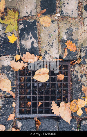 La porte de vidange grill en fonte rempli de feuilles d'automne et de l'eau. Arrière-plan de saison automne Banque D'Images