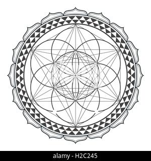 Contour vectoriel design monochrome mandala géométrie sacrée illustration semence de vie metatron lotus fond blanc isolé Illustration de Vecteur