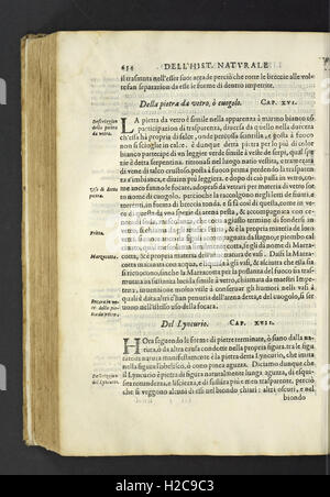 Dell'historia natvrale di Ferrante Imperato napoletano libri XXVIII Banque D'Images