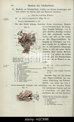 Die pot des Frosches (page 92) Banque D'Images