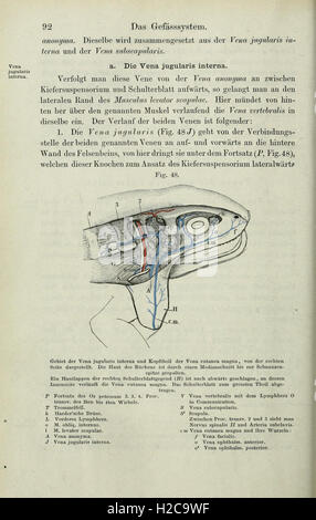 Die pot des Frosches (page 92) Banque D'Images