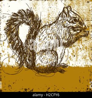 Squirrel Squirrel manger une noix sur un fond abstrait. L'écureuil et l'arrière-plan sont étiquetés séparément sur les couches. Illustration de Vecteur