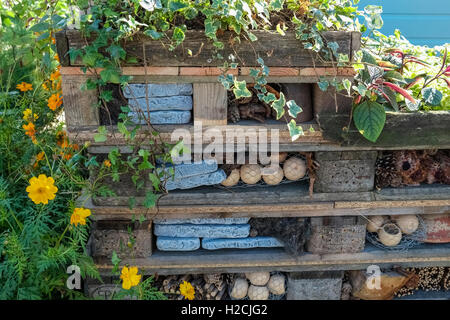 Un joli bug hôtel fabriqué à partir de palettes en bois, pour attirer les insectes utiles dans un jardin. Banque D'Images