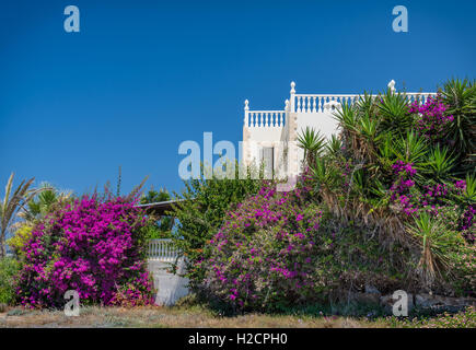 Jolie villa de vacances entourée de Bougainvilliers sous ciel bleu profond. Banque D'Images