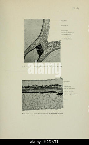 Atlas de photomicrographie des plantes médicinales (page 195) Banque D'Images