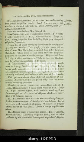 Un catalogue descriptif de la roche de spécimens dans le musée de géologie pratique (page 181) Banque D'Images