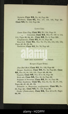 Un catalogue descriptif de la roche de spécimens dans le musée de géologie pratique (page 286) Banque D'Images