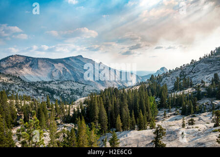 Vue en direction de High Sierra, Olmsted Point, Yosemite National Park, California, USA Banque D'Images