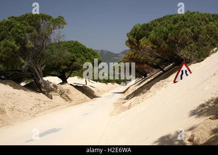Route à travers la dune dérivant, Duna de Bolonia, panneau de route dans le sable, province de Cadix, Espagne Banque D'Images