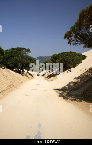 Route à travers la dune dérivant, Duna de Bolonia, panneau de route dans le sable, province de Cadix, Espagne Banque D'Images