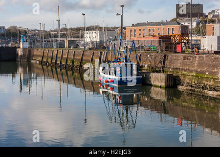 Milford Haven Marina Banque D'Images