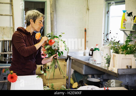 Des arrangements de fleurs biologiques. Une femme de la création d'un bouquet attachés à la main. Banque D'Images