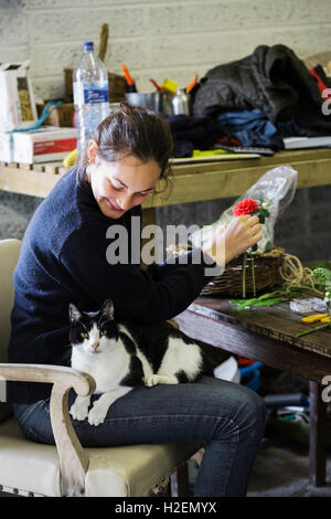 Une femme dans une fleur grange, travailler sur un arrangement avec un chat assis sur ses genoux. Banque D'Images
