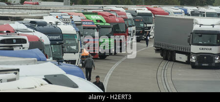 Weil am Rhein, Allemagne. 27 Septembre, 2016. Parking camions au département des douanes à l'autoroute A5, à Weil am Rhein, Allemagne, 27 septembre 2016. 24,6 kg d'héroïne ont été découverts lors d'un contrôle de routine. PHOTO : PATRICK SEEGER/dpa dpa : Crédit photo alliance/Alamy Live News Banque D'Images