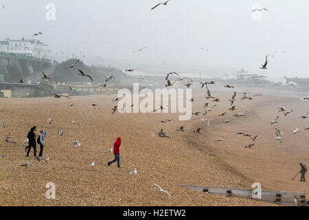 Brighton, UK. 27 septembre 2016. Météo France : les gens à pied sur le front de mer de Brighton sur une journée venteuse : Crédit amer ghazzal/Alamy Live News Banque D'Images