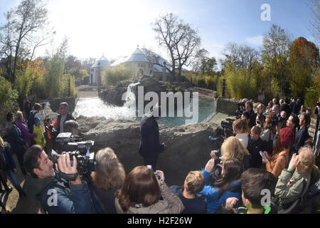 Munich, Allemagne. 28 Oct, 2016. Le directeur de l'Tierpark Hellabrunn zoo, Rasem Baban, explique le nouveau bâtiment à la presse au cours de l'ouverture de la nouvelle maison des éléphants au Tierpark Hellabrunn de Munich, Allemagne, 28 octobre 2016. Photo : FELIX HOERHAGER/dpa/Alamy Live News Banque D'Images