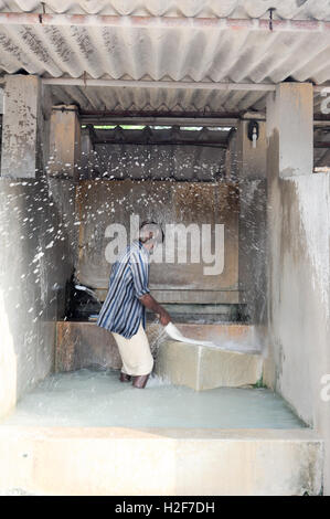 Fort Cochin, Inde - 16 janvier 2015 : lavage du linge à fort Cochin sur l'Inde Banque D'Images