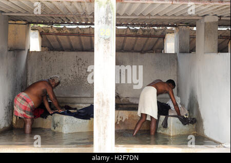 Fort Cochin, Inde - 16 janvier 2015 : Mans lessive à fort Cochin sur l'Inde Banque D'Images