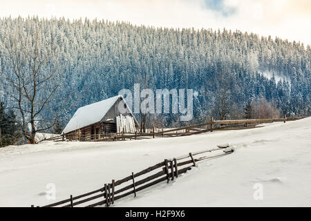 Bûcher derrière la barrière sur la colline recroquevillés avec snow près de la forêt de conifères dans les montagnes d'hiver tôt le matin Banque D'Images