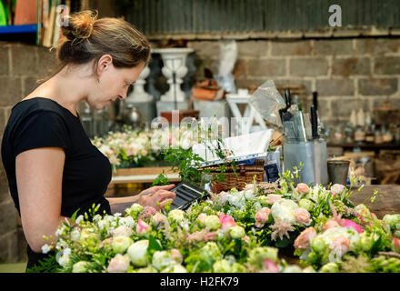 Un fleuriste travaillant à l'aide d'une tablette numérique par un workench de petits arrangements floraux. Banque D'Images