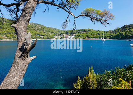 Saplunara village sur île de Mljet Banque D'Images