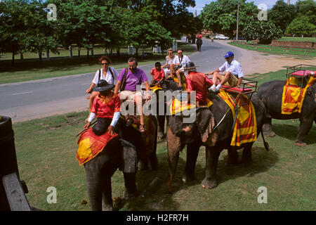 Les éléphants d'Asie (Elephas maximus) transportant les touristes, Ayutthaya, Thaïlande, Asie Banque D'Images