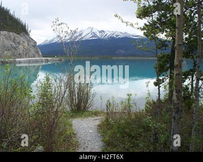 Muncho Lake, fraise Appartements Camping. British Columbia, Canada Banque D'Images