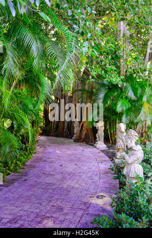 Ligne de statues anciennes en brique le chemin à travers un arbre Banyan grove au motif de la Ringling Museum of Art de Sarasota, FL Banque D'Images