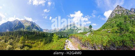 Vue panoramique de Hautes Tatras (Vysoke Tatry) près de Popradske pleso en Slovaquie Banque D'Images