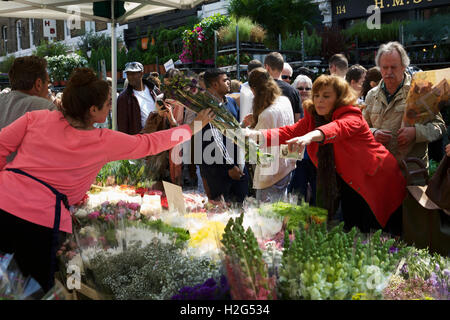 Columbia Road Flower Market, Londres, Angleterre, Royaume-Uni. Commerçant rue vente de fleurs, client payer comptant. Commerçant indépendant. Banque D'Images